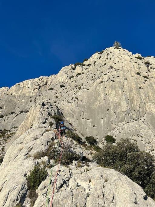 PuyloubierLe 2 Terアパートメント エクステリア 写真